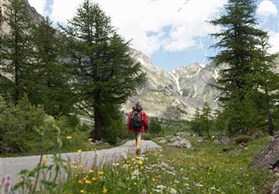 mountain path.jpg